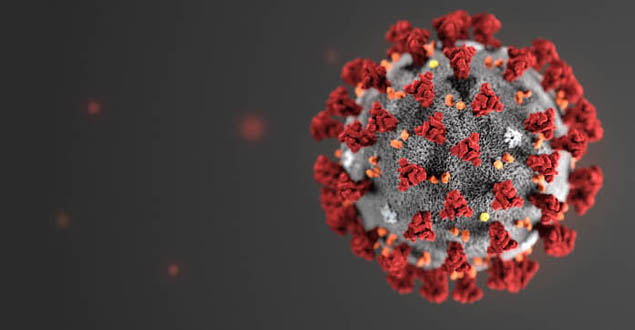 a 3D illustration of the Coronavirus (COVID-19)