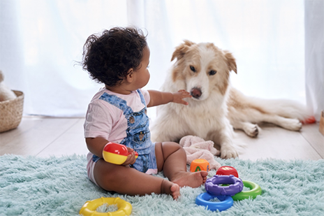 Bebé sentado en el piso jugando con sus juguetes y su perro