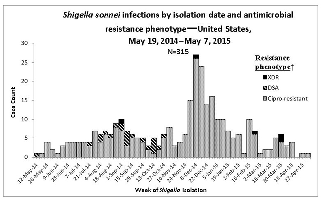 Shigella sonnei infections by isolation date and antimicrobial resistance phenotype—United States,  May 19, 2014–May 7, 2015