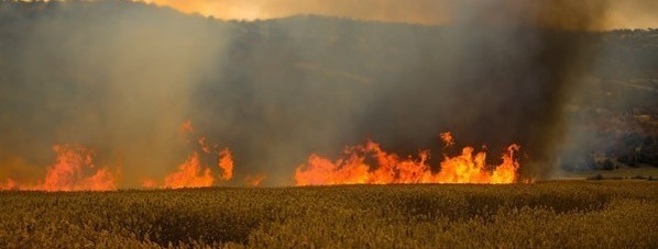 wildfire on a field with mountains in the background